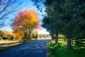 The Road Home II