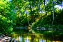 Stony Creek
