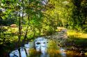 Happy Little Stream