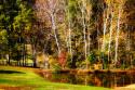 Horse Pond