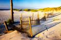 Sand and Sunshine