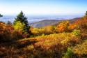 Skyline Drive 6