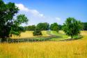Farming Fields