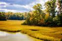 York River Delta