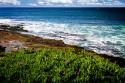 La Jolla Shore