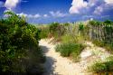 Sandy Walkway