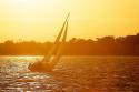 Sailing into the Gold