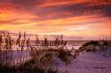 Fiery Beach Sunrise