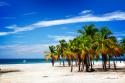 Palms on the Beach IV