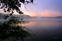 Shelley Lake Fog