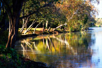 Autumn on the James II