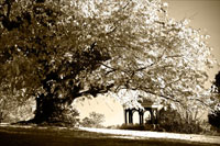 Gazebo