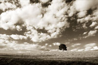 Cloudy Skies I