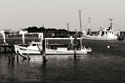 Tangier Island 3