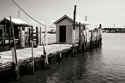 Tangier Island 4