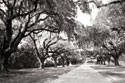 Charleston Oaks 10