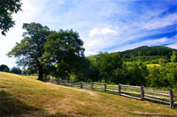 Humpback Mountain