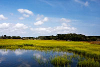 Marshland 2