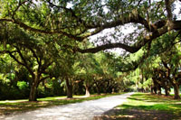 Charleston Oaks 4