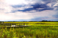 Marshland Storm 1