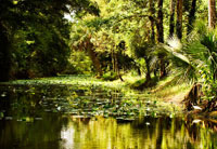 Silver River 3