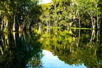 Silver River 4