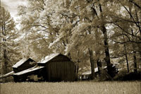 Tobacco Road