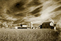 Swirling Sky