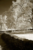 Seminary Wall
