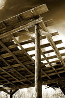 Falling Down 1