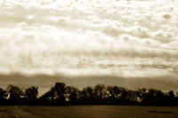 Clouds and Fields 1