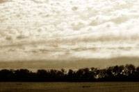 Clouds and Fields 2