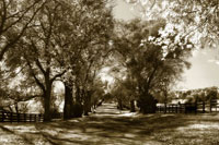 Autumn Foothills 6