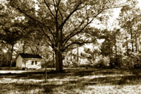 Joe's Place 1