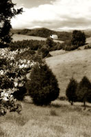 Madison County 2
