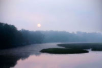 Fog on the Mattaponi 1