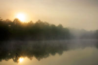 Fog on the Mattaponi 3