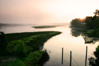 Fog on the Mattaponi 6