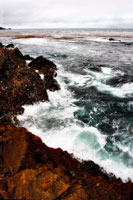 Sand Hill Cove 1