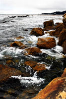 Sand Hill Cove 2