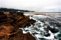 Sand Hill Cove 3