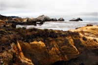 Sand Hill Cove 4