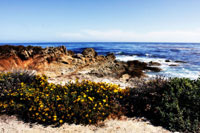 Spanish Bay 2