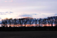 Winter Sunset 2