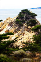 North Point 3