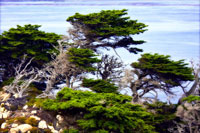 North Point 1