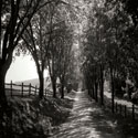 Ash Lawn Square I bw