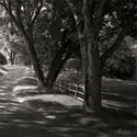 Ash Lawn Square II bw