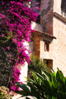 The Old Mission I
