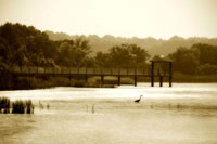 Lagoon I
